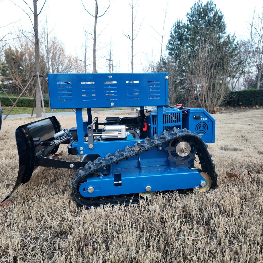 Leistungsstarker Benzinmotor Großflächiger Gartenrasenmäher