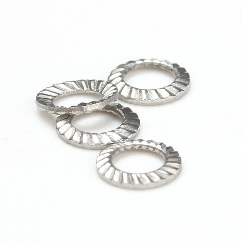 DIN9250 SS 304 Stainless Steel Double Faced Printing Lock Washers