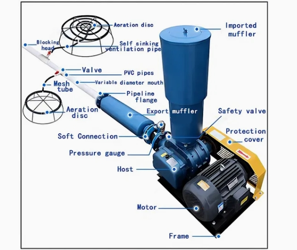 Roots Blower Industriale ad Alta Resistenza all'Usura e a Basso Consumo Energetico