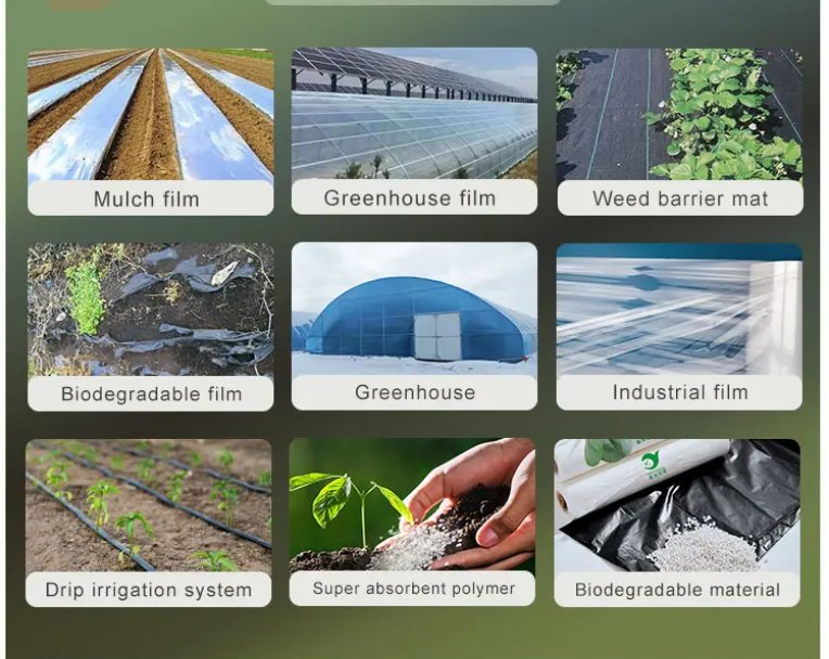 Agricultural High Water-Absorbing Polymer, Plant High Water-Absorbing Resin Potassium Polyacrylate Potassium Tree Sap