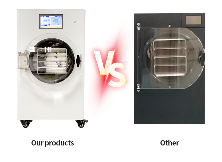 Electric Home Freeze Dryer Machine with Oil Less Pump Lyophilizer for Food Processing for Drying Coffee Powder Candy Philippines