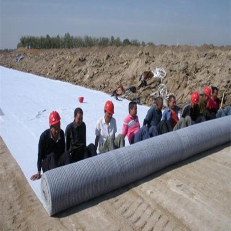 PP Needlepunched Nonwoven Geotextile