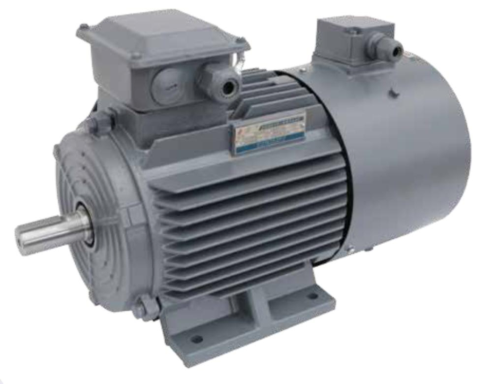 YVF Series Low-Voltage Three-Phase Asynchronous Motor