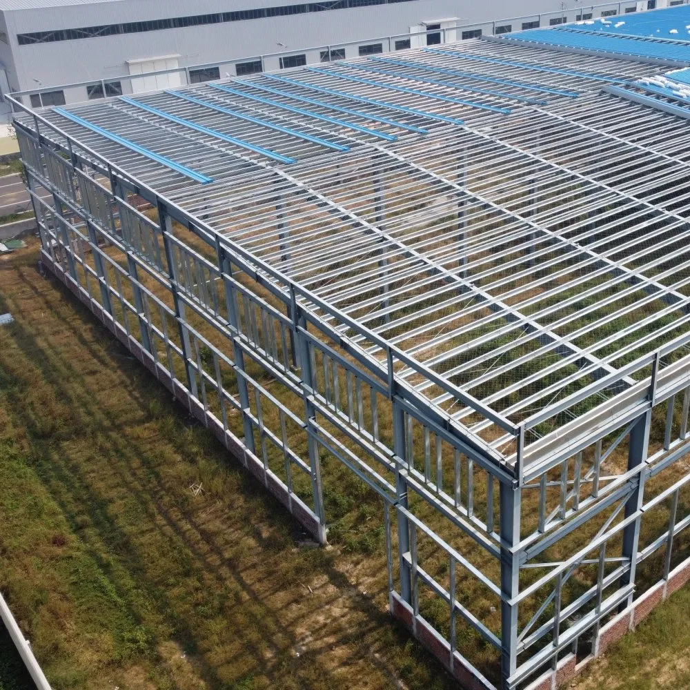 Customized Q355b Modern Prefabricated Sustainable Steel Industrial Shed