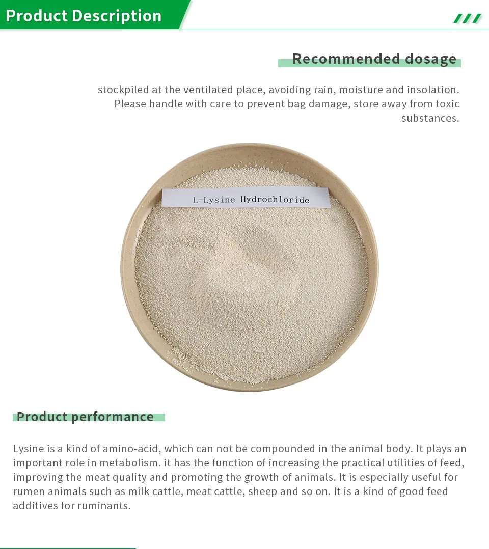 L-Lysine HCl 98% Feed Grade Feed Additive