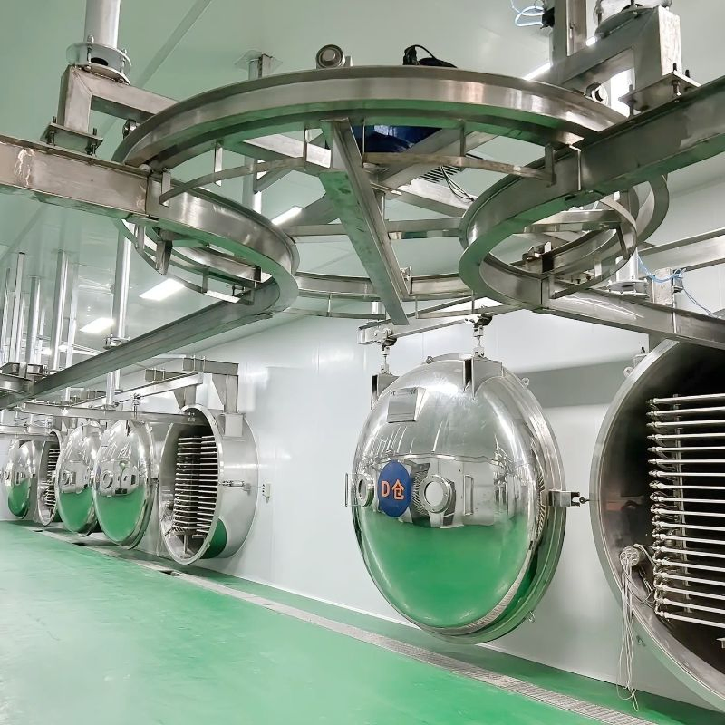 Vacuum Freeze Dryer Strawberry Fruit and Vegetable Raspberry Machine Food Lyophilizer