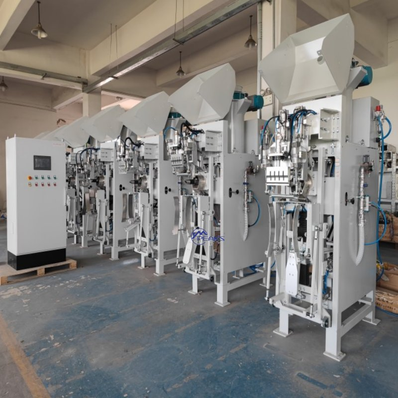 Machine d'emballage semi-automatique de sacs à valve pour farine, sable, ciment et poudre
Machine d'emballage multifonction à roue à aubes pour sacs à valve
Machine d'emballage pneumatique pour sacs à valve