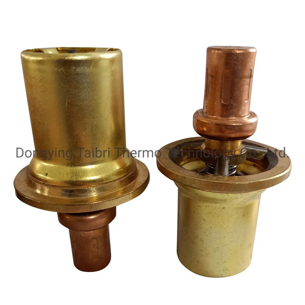 Hitachi/Kobeclo/Zscrew Thermostats Valve Taibri T1234