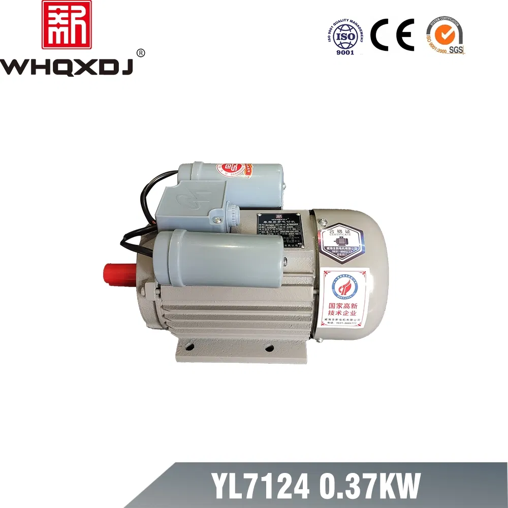 Single Phase Induction Motor 0.37kw/0.5HP 220V 50Hz Copper Core Home/Industrial