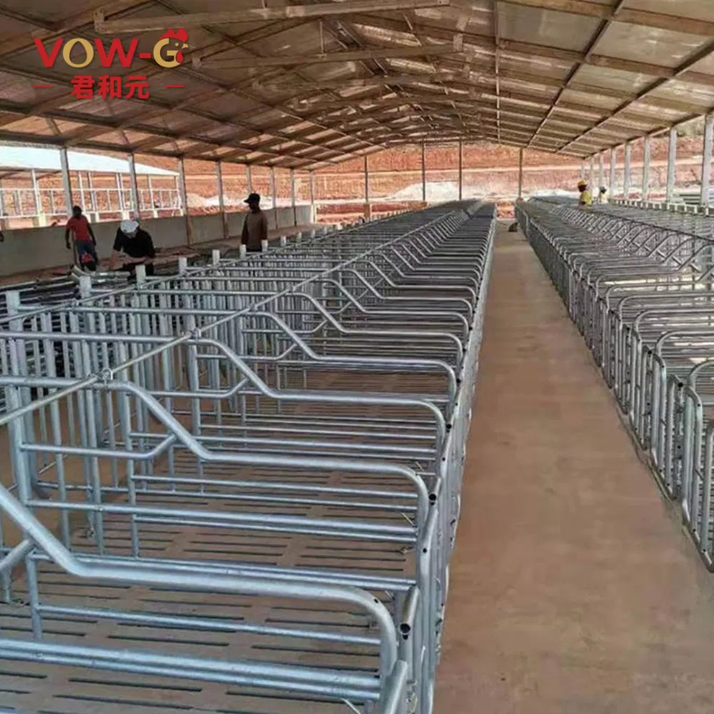 Waterproof Windproof Steel Structure Pig Shed Commercial Pig Farm Construction