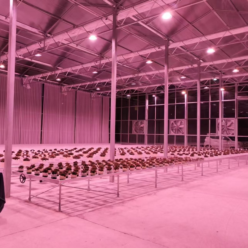 Full Spectrum UFO LED Lights with Different Powers for Indoor/Greenhouse Vegetables/Flowers Agriculture