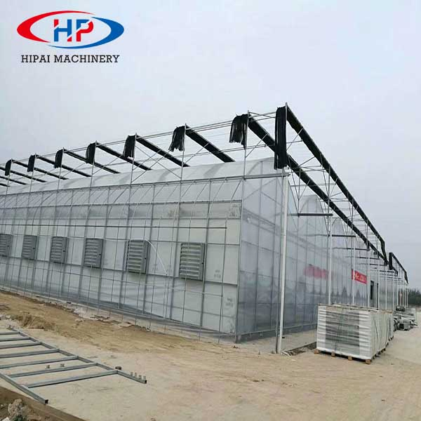 Agricultural Poly Film Greenhouse, Greenhouse Equipment for Horticulture