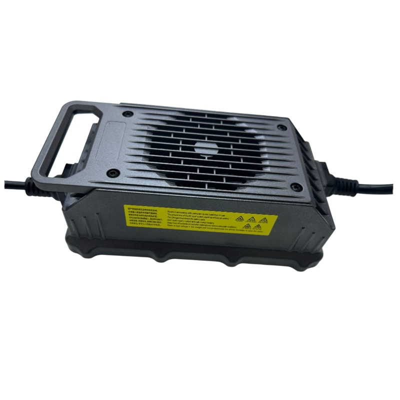 1500W Charger for Sightseeing with Optional Can/RS485