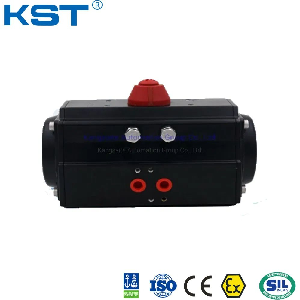 PTFE Coated Pneumatic Rotary Valve Actuator with ISO/CE