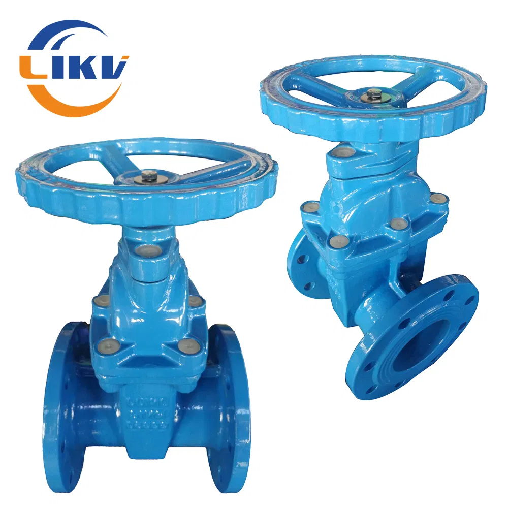 Ductile Iron DIN F5 Non Rising Stem Soft Resilient Seated Gate Valve