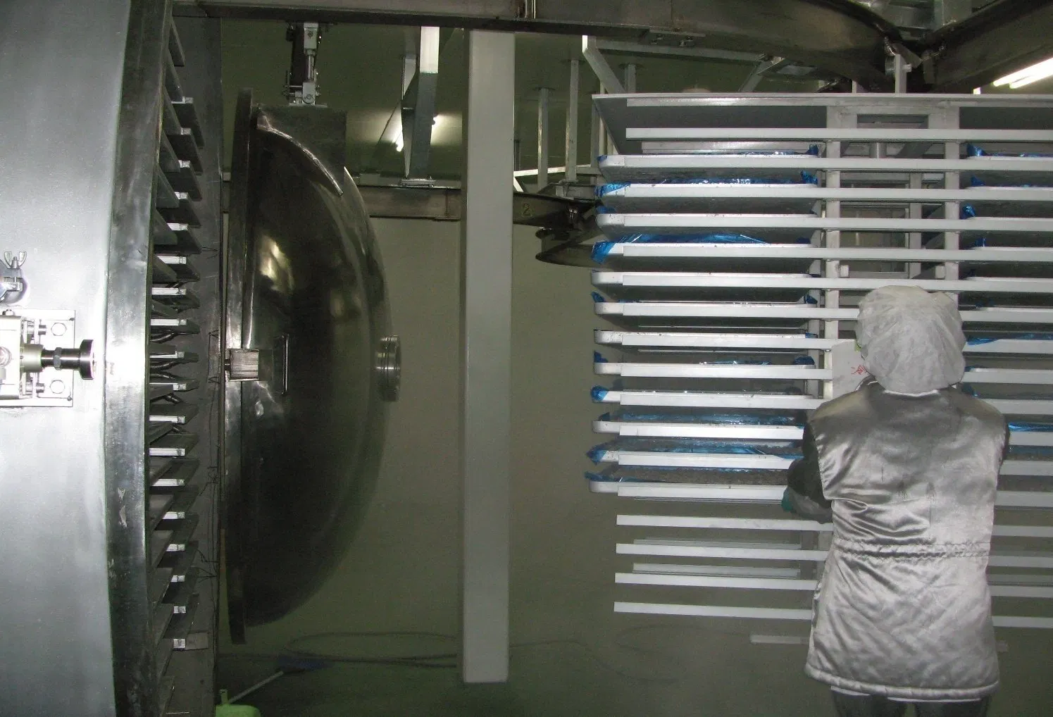 200kg Freeze Dryer for Food and Nutrient