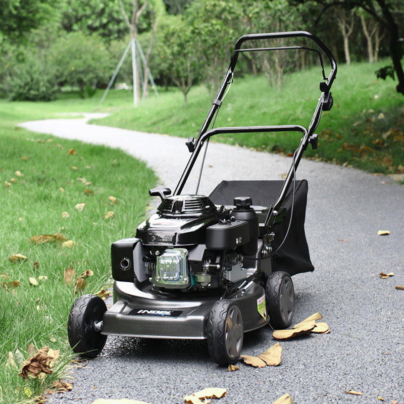 Professional Self-Propelled Petrol Lawn Mower with 10 Cutting Heights