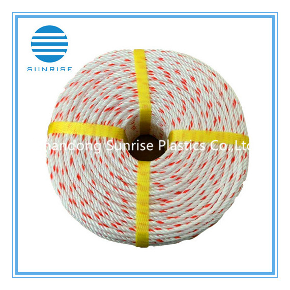 PP Cuerda Danline Blanca con Rojo