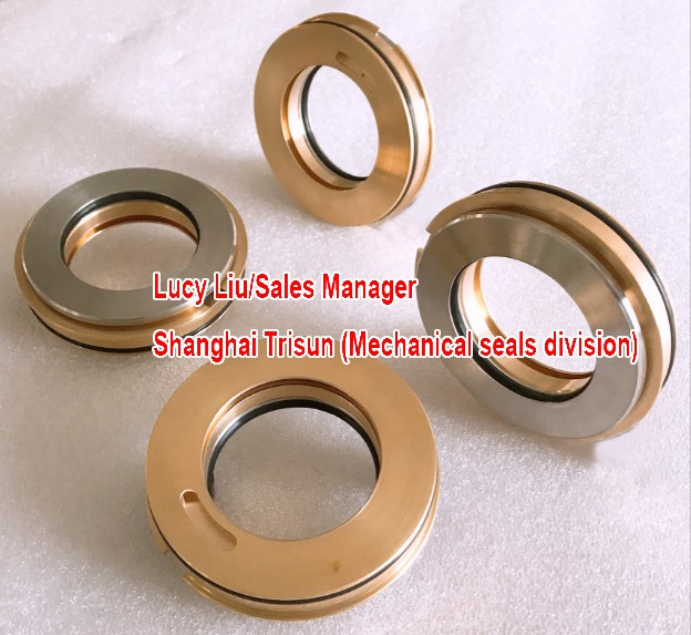 Isolatore di cuscinetto in bronzo, isolatore di cuscinetto per tenuta pompa ANSI in acciaio inossidabile