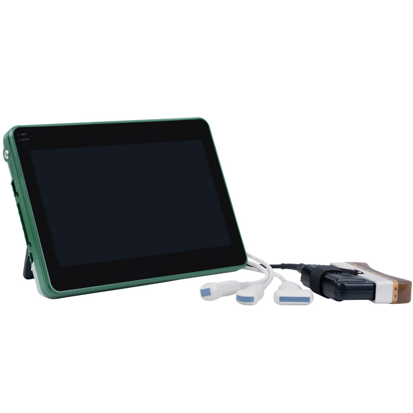Bxl-Dz20 Equine Horse Reproductive Portable Ultrasound Machine