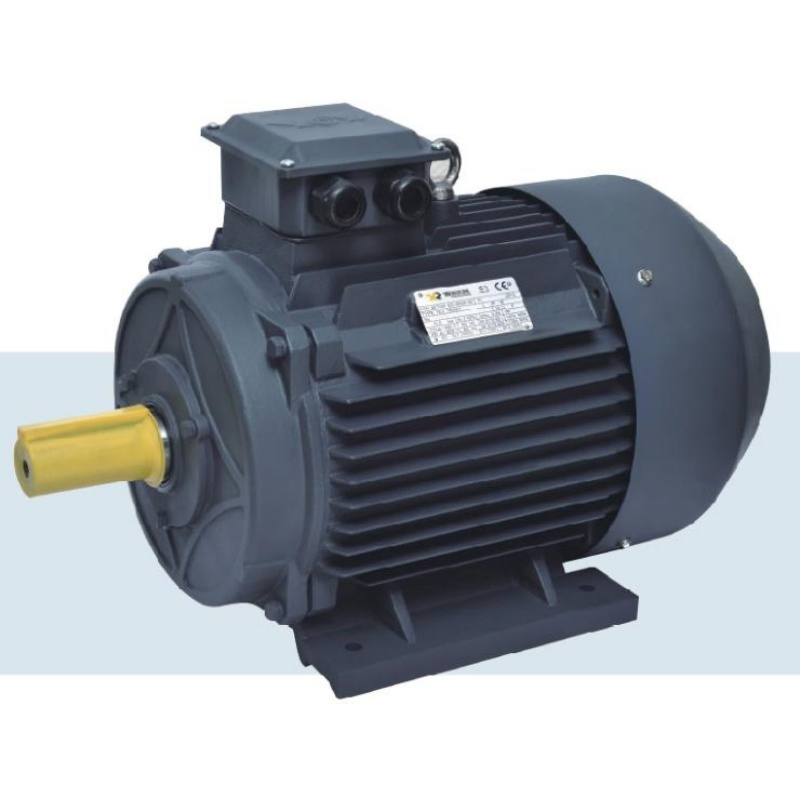 GOST Standard Electric Asynchronous Motor