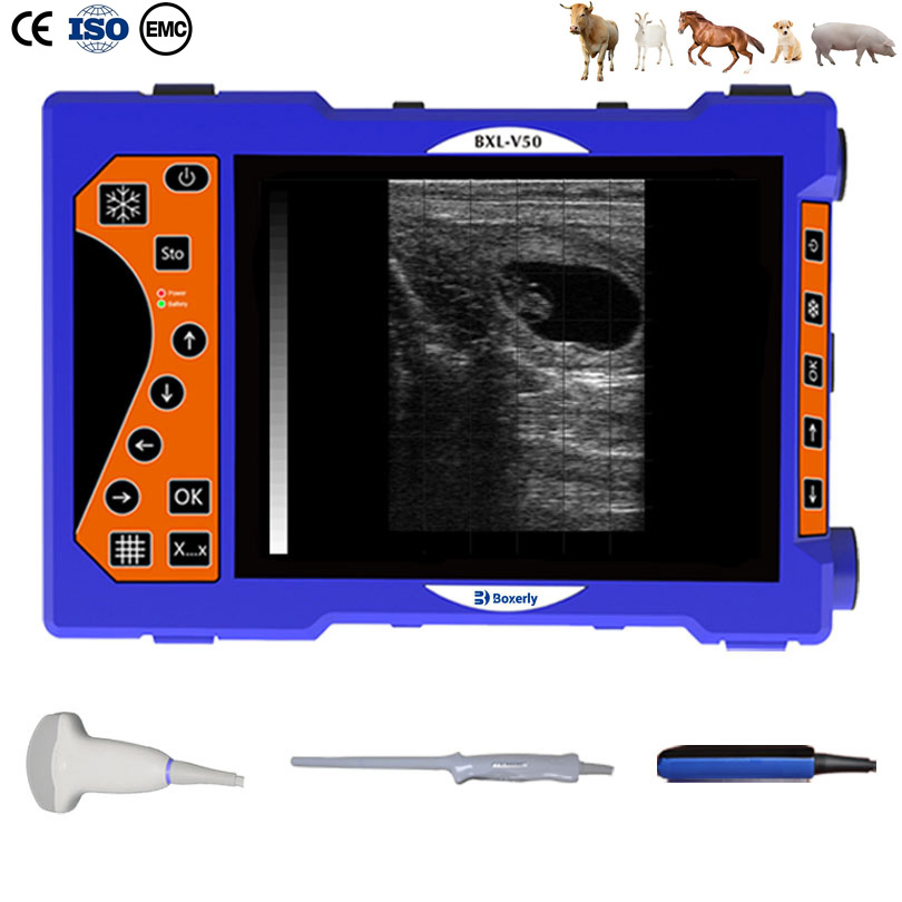 Bxl-V50 Portable Veterinary B-Ultrasound Backfat Measurement Integrated Scanner Machine for Cattle Goat Equine CE ISO Certified