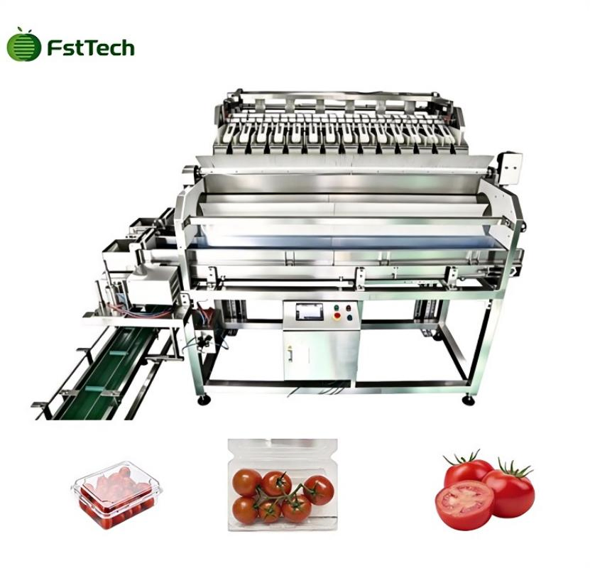 Trieuse pondérale multi-têtes à grande vitesse pour ligne d'emballage de fruits et légumes
