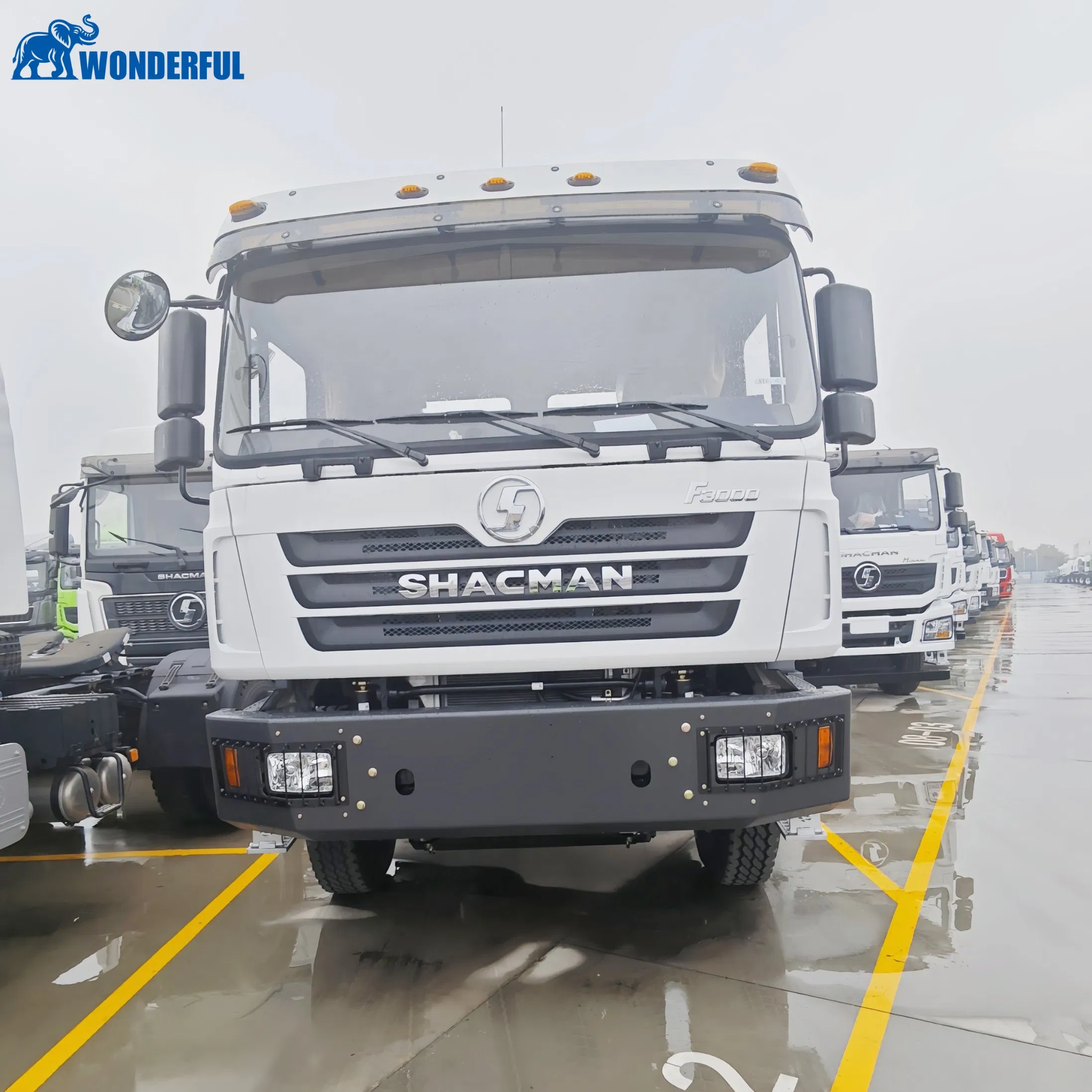 Shacman Sinotruck HOWO 4X2 6X4 8X4 400HP 430HP F3000 Trattore per Camion Pesante