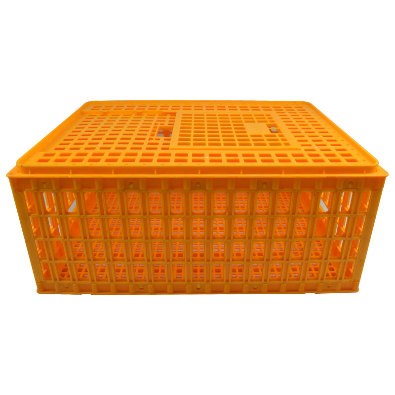 Poultry Carrying Box Cage, Plastic Poultry Crate for Chicken Transportation