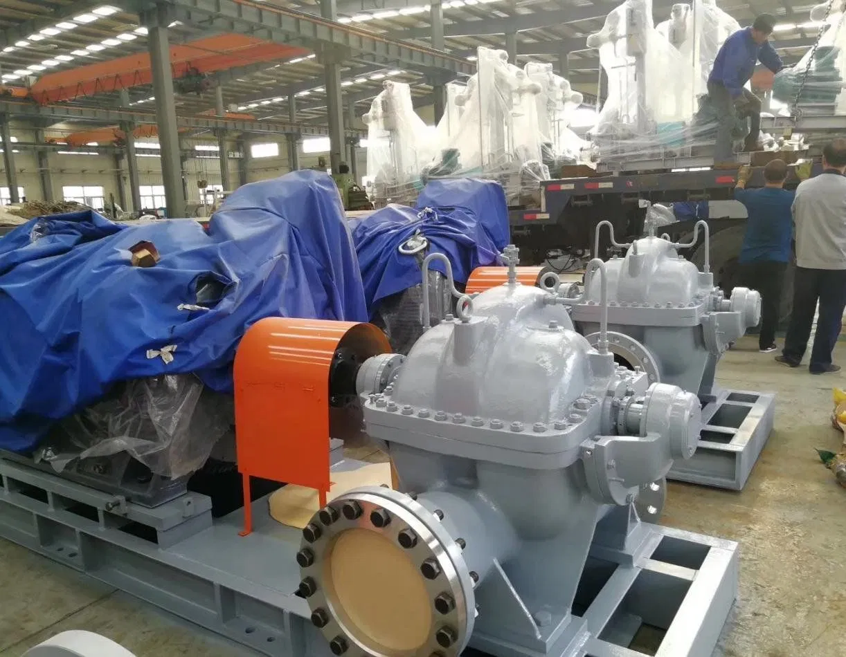 Pompa Centrifuga Orizzontale Beloni Serie BB con Autoadescamento a Ricircolo Esterno
