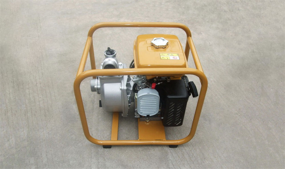 Pompe à eau à essence LS 4131
