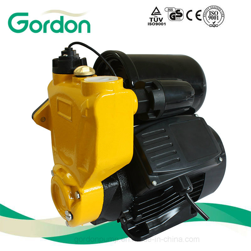 Domestic Copper Wire Self-Priming Auto Pump with Auto Spare Part