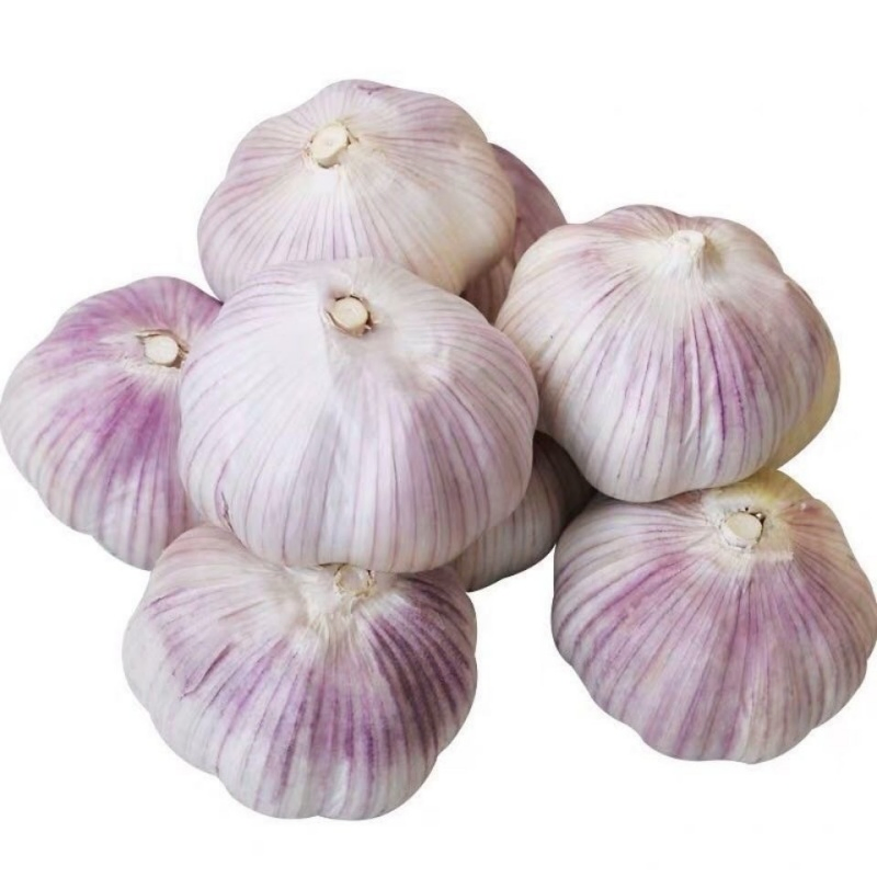 Aglio Bianco Fresco, Spicchi d'Aglio Sbucciati, Aglio Surgelato IQF, Produttore Cinese Esportazione in Tutto il Mondo, OEM ODM Private Label Disponibile