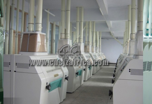 Wheat Flour Equipment