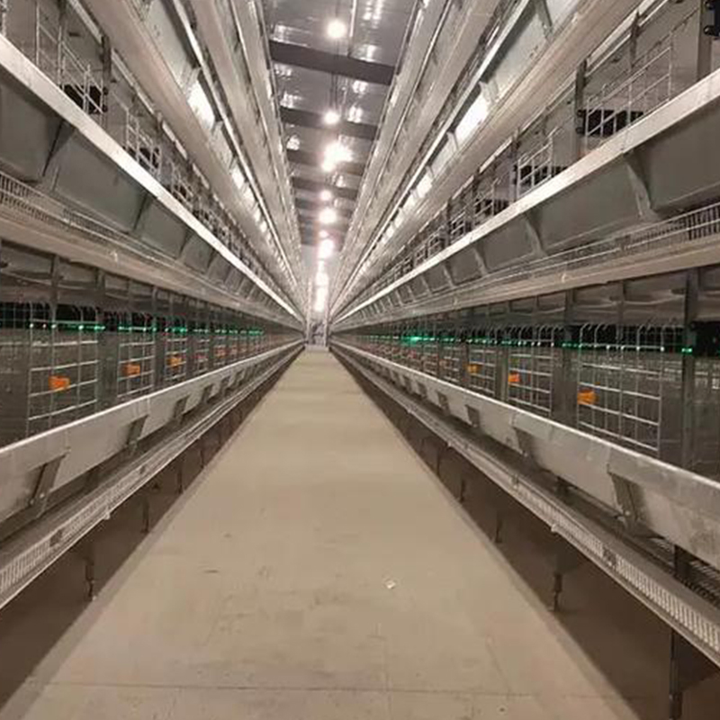 Attrezzatura automatica personalizzata per l'allevamento di pollame a 4 livelli di tipo H, gabbia per galline ovaiole