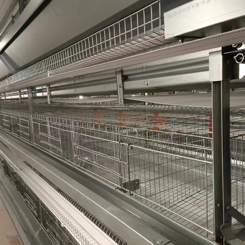 Automatic Poultry Farm Equipment 4-8 Layer Chicken Cages