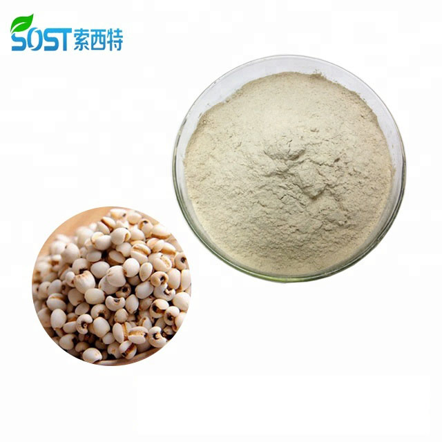 Organic Coix Seed Extract Powder