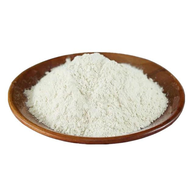 Pure White Fresh Garlic Powder Animal Feed Additive