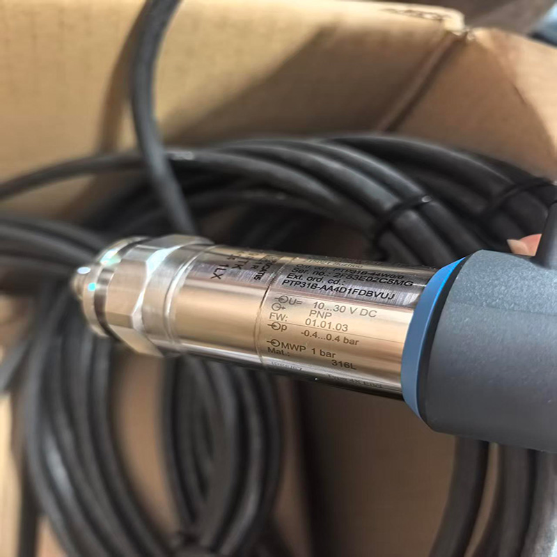 Endress+Hauser Ceraphant PTP31 Interruttore di pressione digitale ad alta precisione con display, uscita 4-20mA