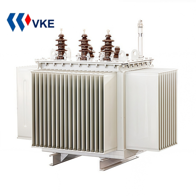 13.8kv 10kv 250kVA 1000kVA Step-Down Oil Immersed Distribution Transformer