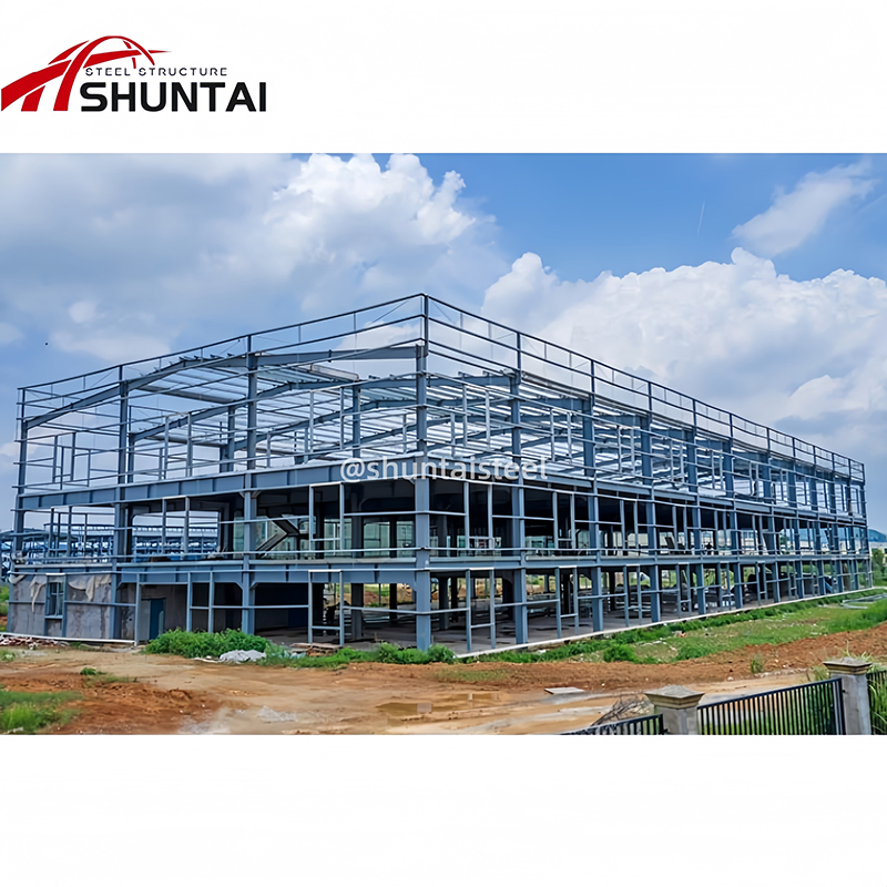 Light Steel Structure Prefabricated Metal Customized Construction Factory Portal Frame Processing Workshop Building