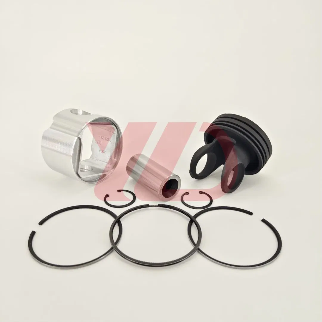 Cummins Diesel Motor Teile Isl Qsl9 Qsc8.3 Kolben Kit 4955237 mit Bolzen Clip Ring Kolben
