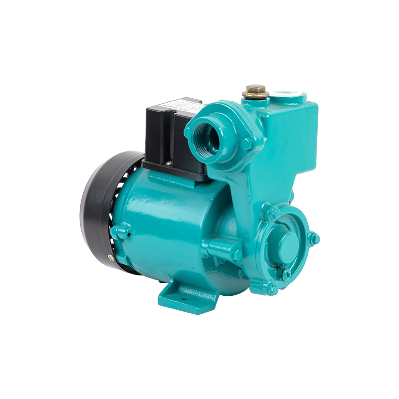 Fully Automatic Cold and Hot Water Self Priming Electric Water Pump