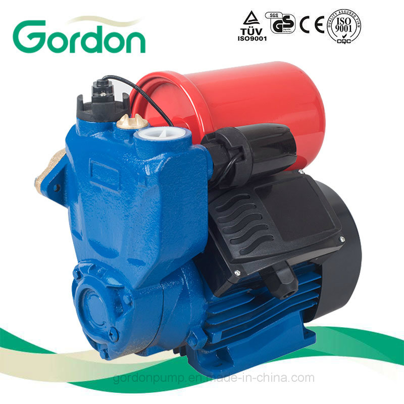 Domestic Electric Copper Wire Self-Priming Auto Pump with 12L Tank