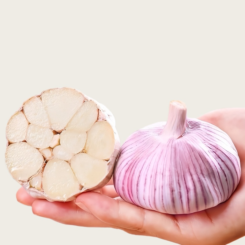 Emballage personnalisable en carton ou en filet pour l'exportation en gros d'ail frais