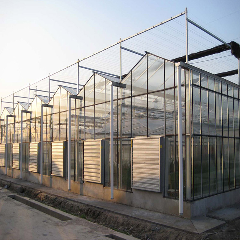 Multi-Layer Plant Factory Glass Greenhouse with Automated Irrigation Drip System