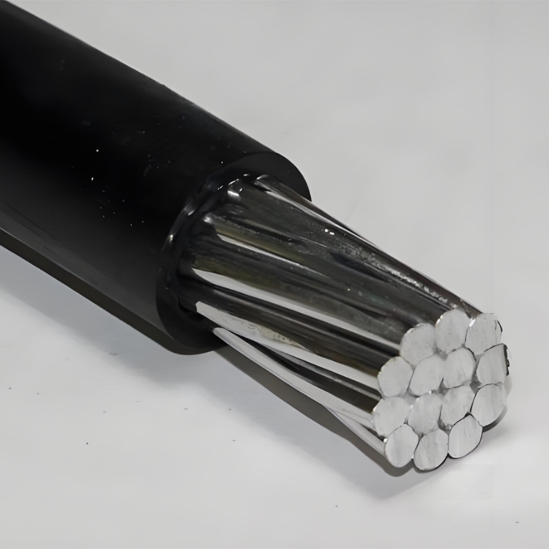 Self-Supporting Overhead Electrical Wiring ACSC Cable Lines Aluminum Conductor Galvanized Steel Wires Reinforced PVC Isolation Aerial Power Transmission Cables