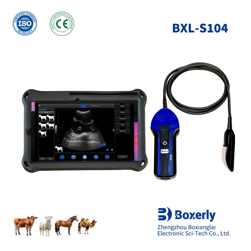 Bxl-S104 Sonda Universale Wireless Portatile Macchina Ecografica Veterinaria per Bovini Capre Suini Certificata CE ISO