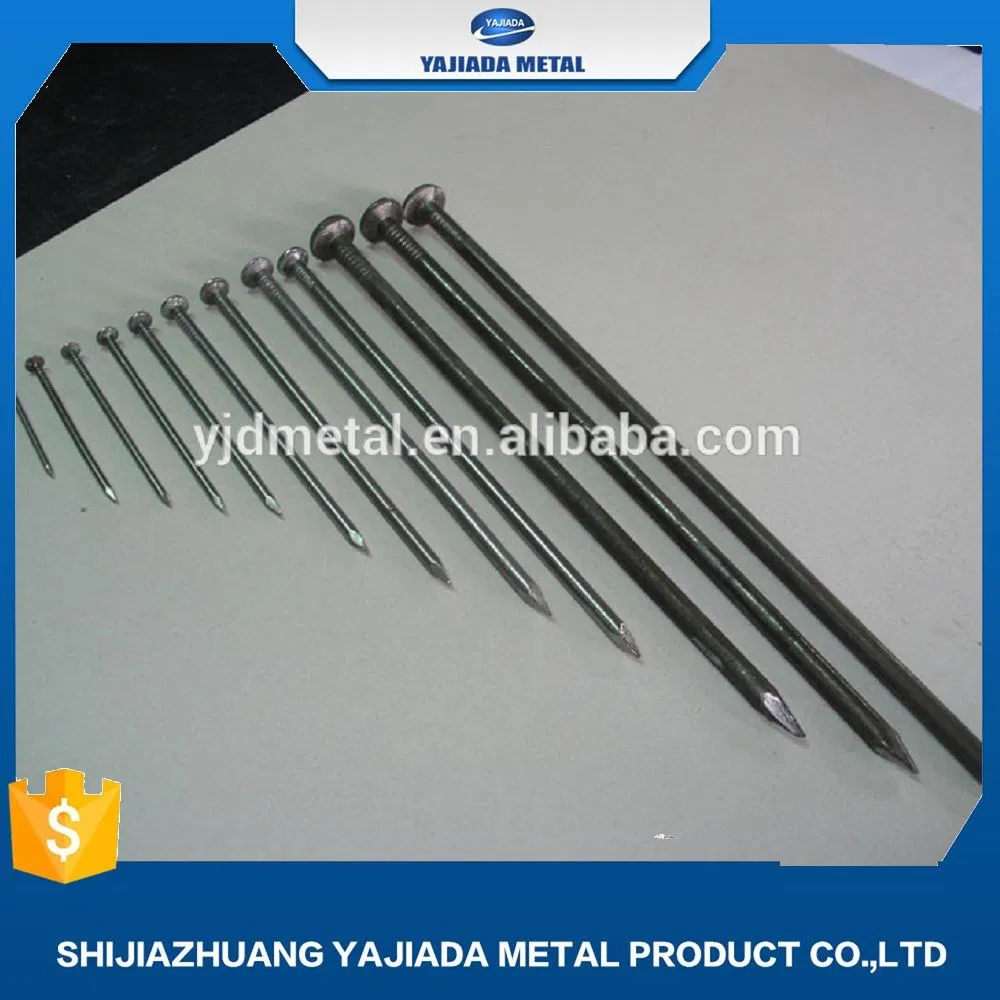 Galvanized Steel Concrete Nail