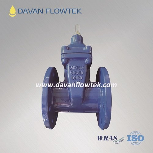 Cast Ductile Iron Flanged Rubber Resilient SABS Sans 664/665 Gate Valve
